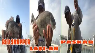 MY FISHING ADVENTURE  @gbf mix vlogs