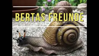 Hochlandschnecke Berta - Ein Leben am Hang #dresden #sachsen -  Bertas Freunde