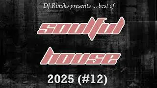 DJ Rimiks - Best of Soulful House 2025 (#12)