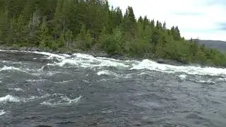 Free Stock Videos and B-Rolls a wild river