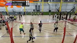 Rocket Power vs Wild Thornberrys / Quarters Boston Dodgeball League Throw Down Nickelodeon