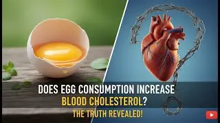 Does Egg consumption Increase Blood cholesterol Level ?#egg #cholesterol #dietarycholesterol
