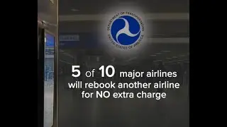 Planning a summer getaway? Airline travel tips consumers should know in 2024