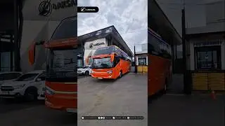 RIFFA TOUR JOGJA &bull; Legacy SR3 Neo HD Prime (Standard) #shorts #riffatourjogja #laksanabus
