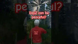 DayZ walk in the woods. #dayz #peaceful #videogames #naturegaming #mozart #sleepvideo #bedtime
