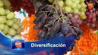 Frutinter lanza un plan global para vender uva de mesa durante los 12 meses del a&ntilde;o