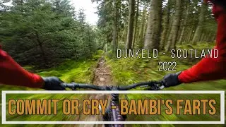 Dunkeld MTB Enduro Trails - Commit or Cry - Phoenix Link - Bambi's Farts - Jan 2022