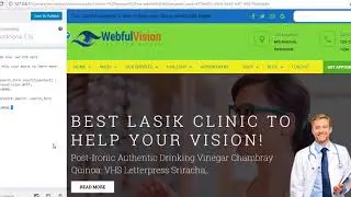 Eye Care - Optometrist WordPress theme Color Changes