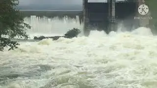 Our 1st Update# The Nature Place# Water Damp#