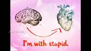 Images With Meaning | Just Watch
