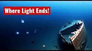 What Lives in the Ocean&rsquo;s Darkest Depths?