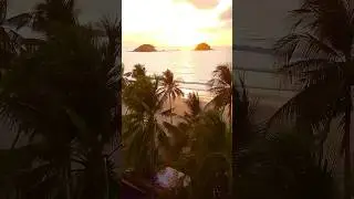 Proof that some endings are golden.🌅😍 #shorts #shortsviral #sunsetserenity