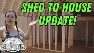 FRAMING THE WALLS IN THE SHED TO HOUSE!  Plus, updating you on how much we have spent building it
