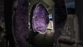 Halls of Gems and Minerals at AMNH #gems #minerals #amethyst #museum #newyork #silife #shorts