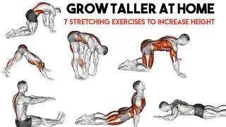 Grow Taller At Home | 7 Stretching Exercises To Increase Height