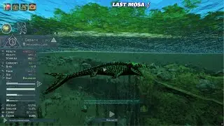 Beast of Bermuda | mosa comp