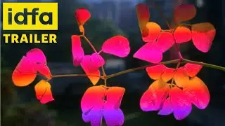 IDFA 2022 | Trailer | Devil's Peak