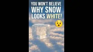 Why snow looks white will blow your mind 🤯❄️