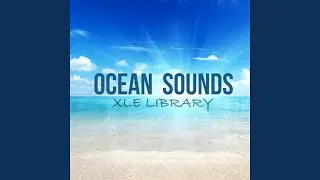 Ocean Sounds: Ocean Waves for Sleep