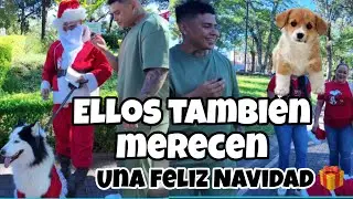 Celebremos la Navidad 🤶 Canina 