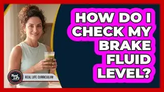 How Do I Check My Brake Fluid Level?