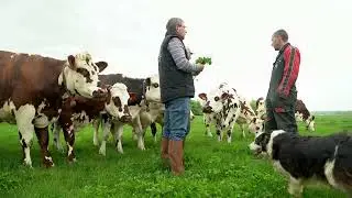 Robot et herbe pâturée, c'est possible !