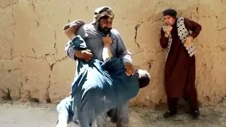 نظرگل را بیکار نگذار