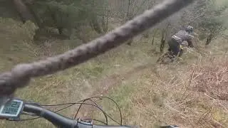 setmurthy fence line