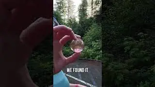 Slough to sea trail in Astoria, Oregon! #podcast #vlog #outdoors #oregon #travel #hiking #tac