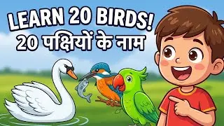 Birds Name in English and Hindi | 20 Birds Name | Pakshiyon ke Naam (चिड़ियों के नाम)