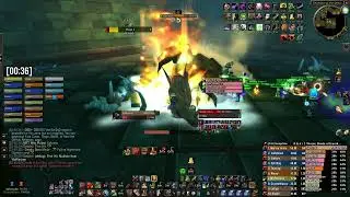 #1 World Glad DPS Shadow of Eranikus Season of Discovery Gladiator Stance Warrior TANK POV