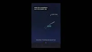 All About The Leonid Meteor Shower