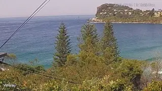 Matt Whaley Live Stream
