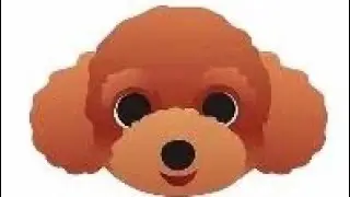 TEDDYDOG TOKEN REVIEW | TEDDY DOG PUMPS 3000X | HONEST REVIEW