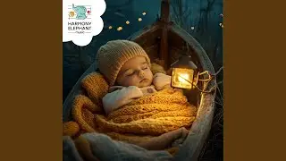 Night Garden