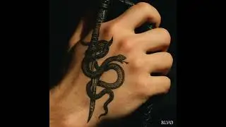 BLVO - E.M.R.G.