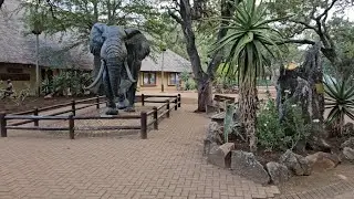 Sanparks Kruger National Park: Letaba Rest Camp Cottages Layout & Riverside Walk