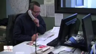 Bovinéo -  Présentation de l'activité gros bovins
