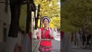 云南 大理古城 游览攻略 Yunnan Dali Ancient City travel guide