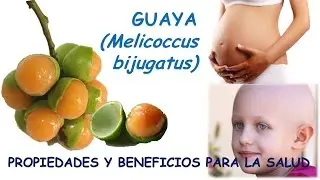HUAYA : PROPIEDADES Y BENEFICIOS PARA LA SALUD
