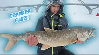 Lake Trout Smackdown in Upstate NY! (Lake Champlain)