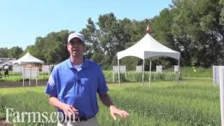 Canola Report: Post Harvest Management Tips - Fall Weed Control.