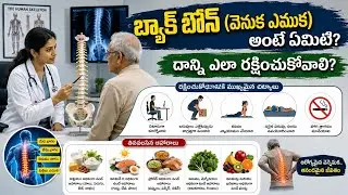 Back bone healthy foods for strong spine naturally