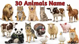 30 Animals Name in Hindi and English | Wild & Domestic Animals | Animals Name for Kids