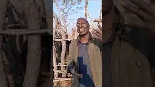 Luchazi oral tradition | Mezi a Muata Makeche