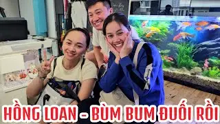 HỒNG LOAN - BÙM BUM ĐUỐI SỨC RỒI #hongloan #hongloanhongni 