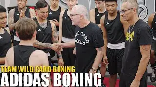 Team Wild Card Boxing - Adidas Boxing