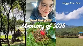 Sneek Peek of 2025 Memory|| HAPPY NEW YEAR 🎊|| ANDRO picnic 🧺