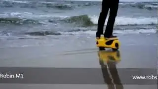 mini segway scooter-Robin:self-balancing personal transporter,motorcycle,electric bicycle