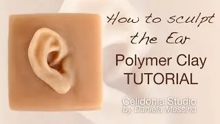 How to sculpt the Ear - OOAK Polymer Clay Tutorial - Sculpting Particulars 1
